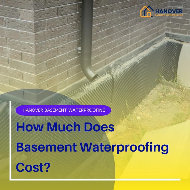 How Much Does Basement Waterproofing Cost