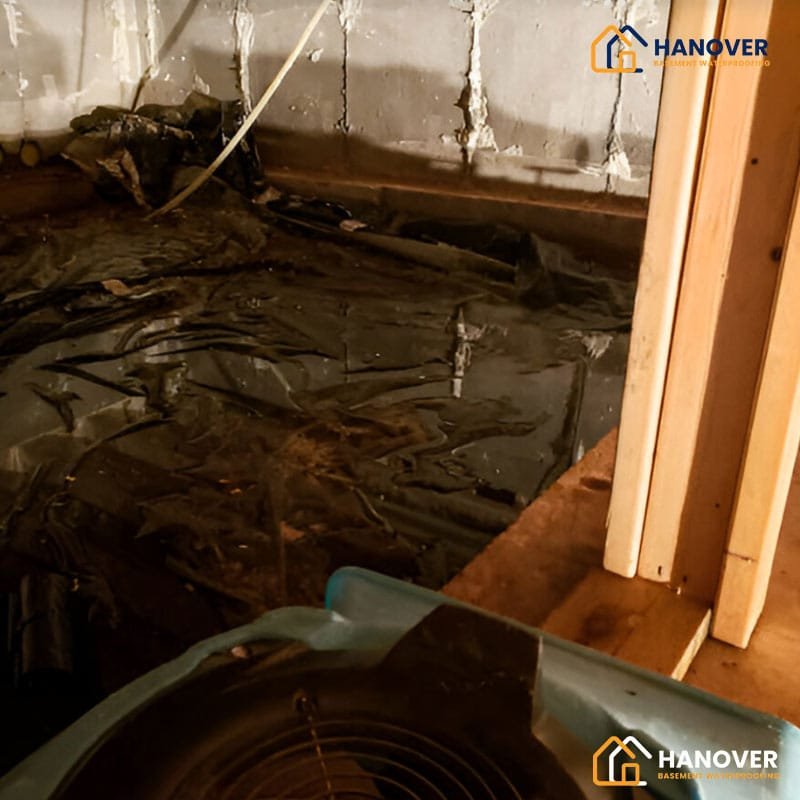 Ways to Prevent Mold in Your Crawl Space