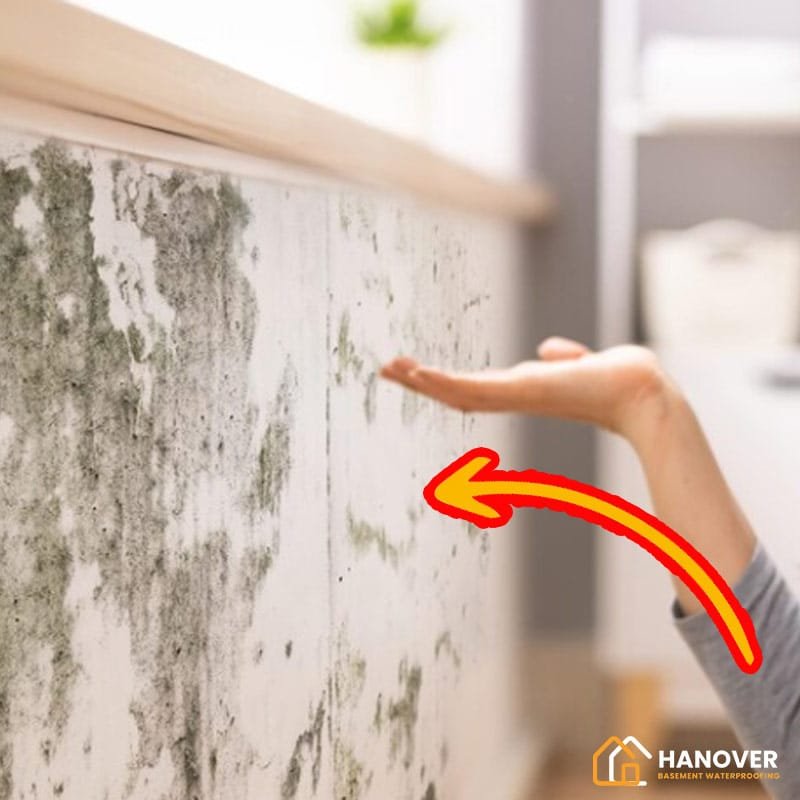Best Ways to Reduce Humidity in Your Home
