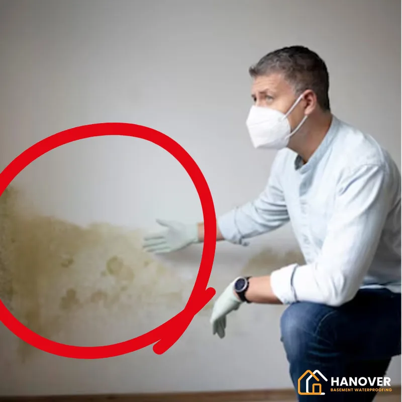 How to Get Rid of Musty Smells in a Basement