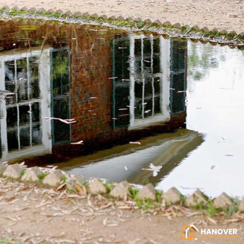 How to Prevent Water Erosion in Your Yard